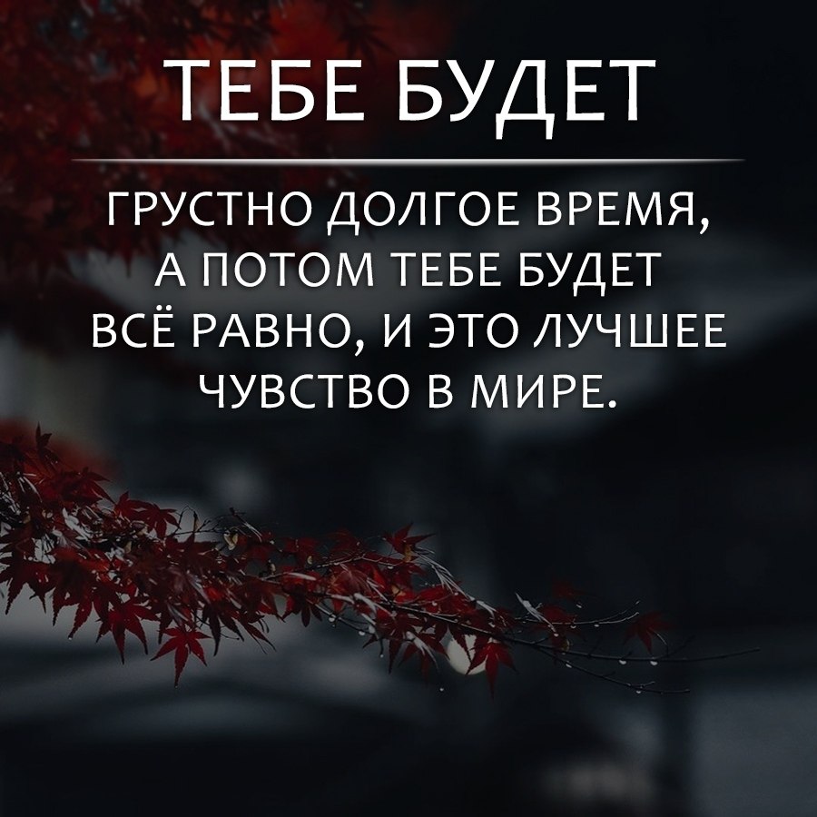   . . . - 29  2019  03:47