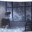 ���� ������, �������, 34 ���� - ��������� 31 ������� 2019