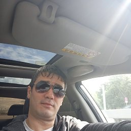 ������, ������, 41 ���