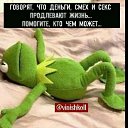  ,  , 61  -  17  2019    