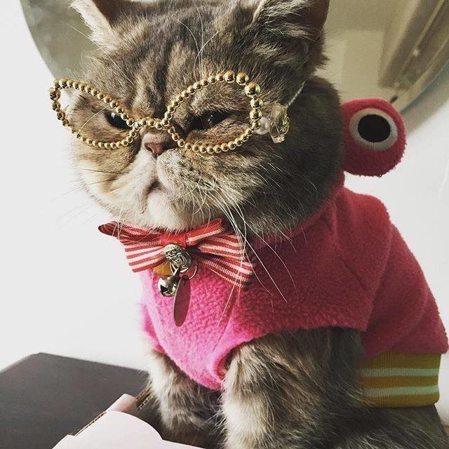 Mo !