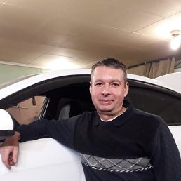 ���� ������, ������, 49 ��� - ��������� 2 ������ 2020
