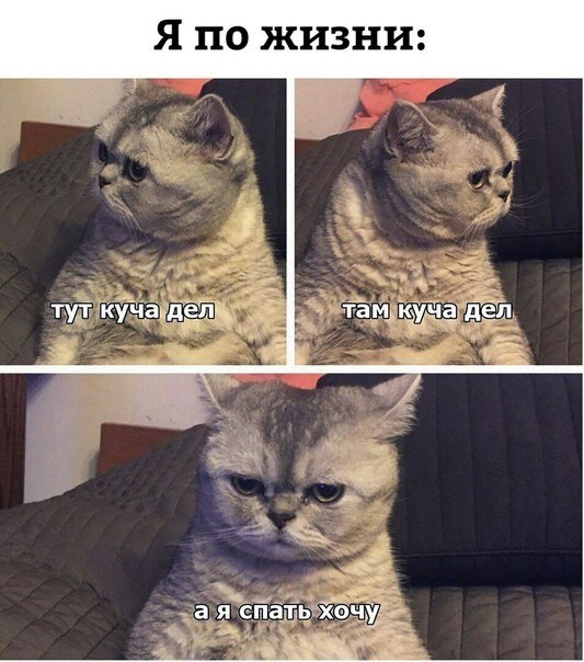    - 5  2019  18:42