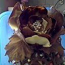 ���� �������, �����-���������, 53 ���� - ��������� 5 ���� 2019 � ������ ������ ��������