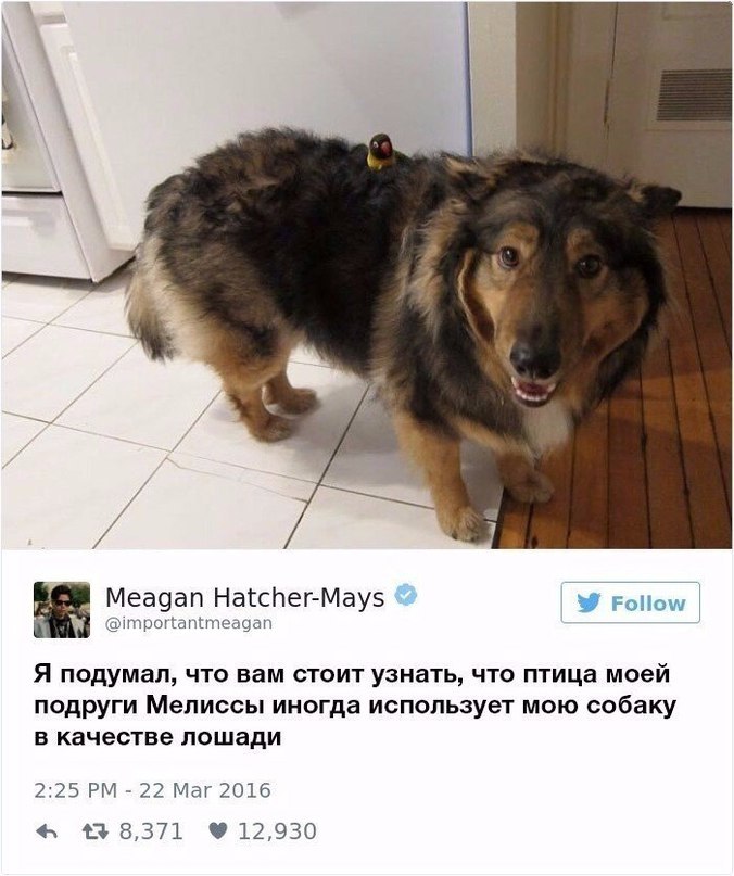      - 5