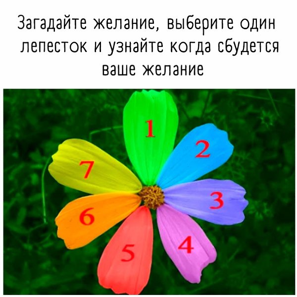 Не забудьте написать, какой лепесток выбрали. #тест@psyxov Ответы: Лепесток No 1 Чтобы ваше желание ...