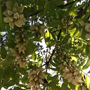 ���� Olga, ������������ - ��������� 17 ������� 2019 � ������ ���� ����������