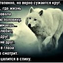 ���� ����������, ����������� - ��������� 1 ������ 2020 � ������ ������ ��������