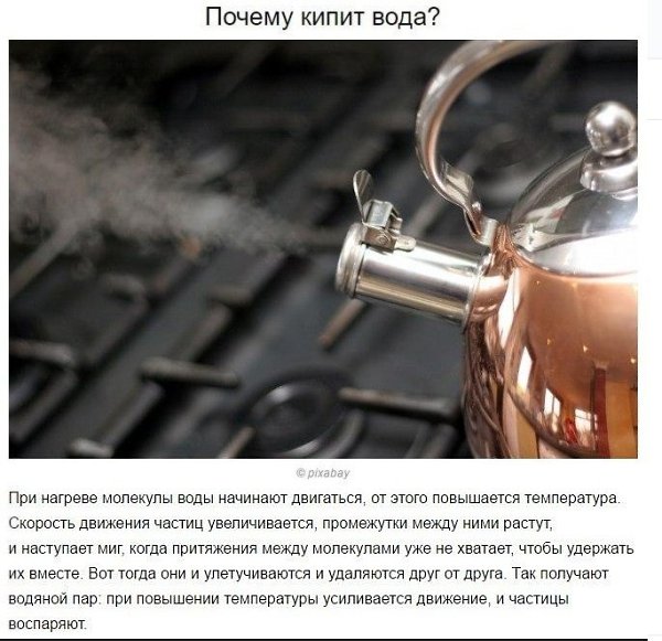 Ответы на частые детские «почемучки». Будет полезно вспомнить и мамам - 3