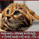 ���� �������, ���������� �����, 59 ��� - ��������� 18 ������� 2019 � ������ ���� ����������