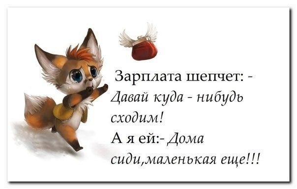 ☆ ☆ - 20  2019  19:15