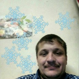 �����, ����������