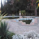 , ,&quot;׸ &quot;,02.01.20.8.30.   , 2020