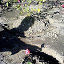 ���� A, ���������, 39 ��� - ��������� 14 �������� 2019 � ������ ���� ����������