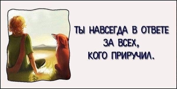 10 самых вдохновляющих цитат из «Маленького принца».#настроение@ican - 7