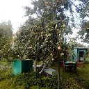  , , 67  -  2  2019     - .