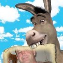 ���� �������, ��������, 58 ��� - ��������� 22 ��� 2019 � ������ ���� ����������