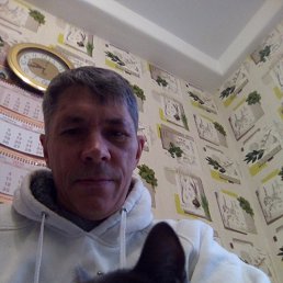 �����, �����-���������, 56 ���