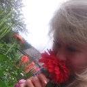 ���� �����, ��������, 53 ���� - ��������� 23 ������� 2019 � ������ ���� ����������