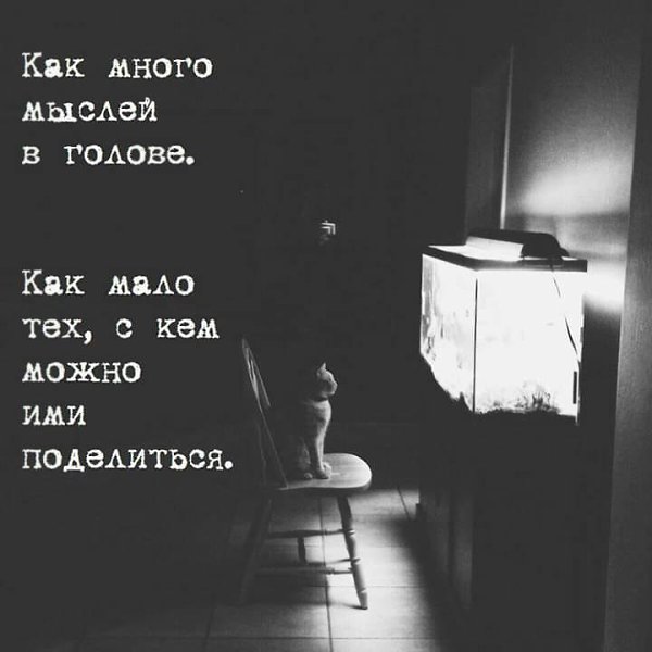 Nastya - 26  2019  10:49