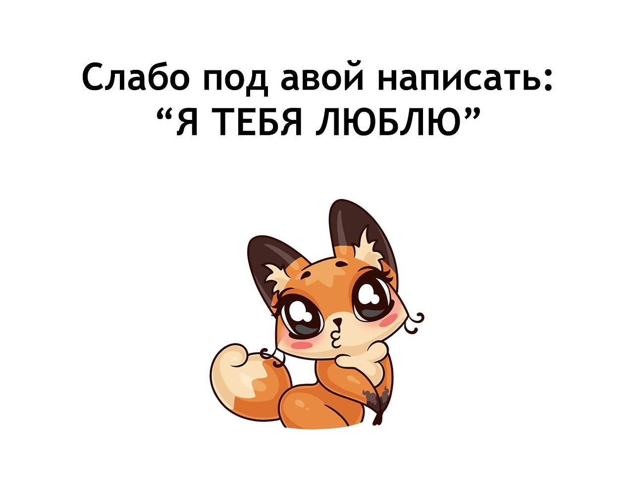   - 21  2019  03:40
