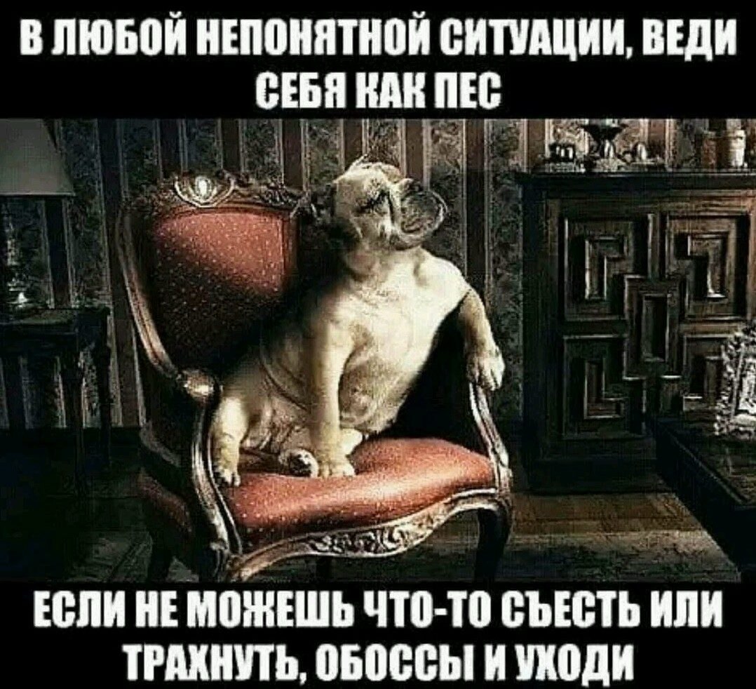 ***Victoria Viktorovna*** - 27  2019  13:15