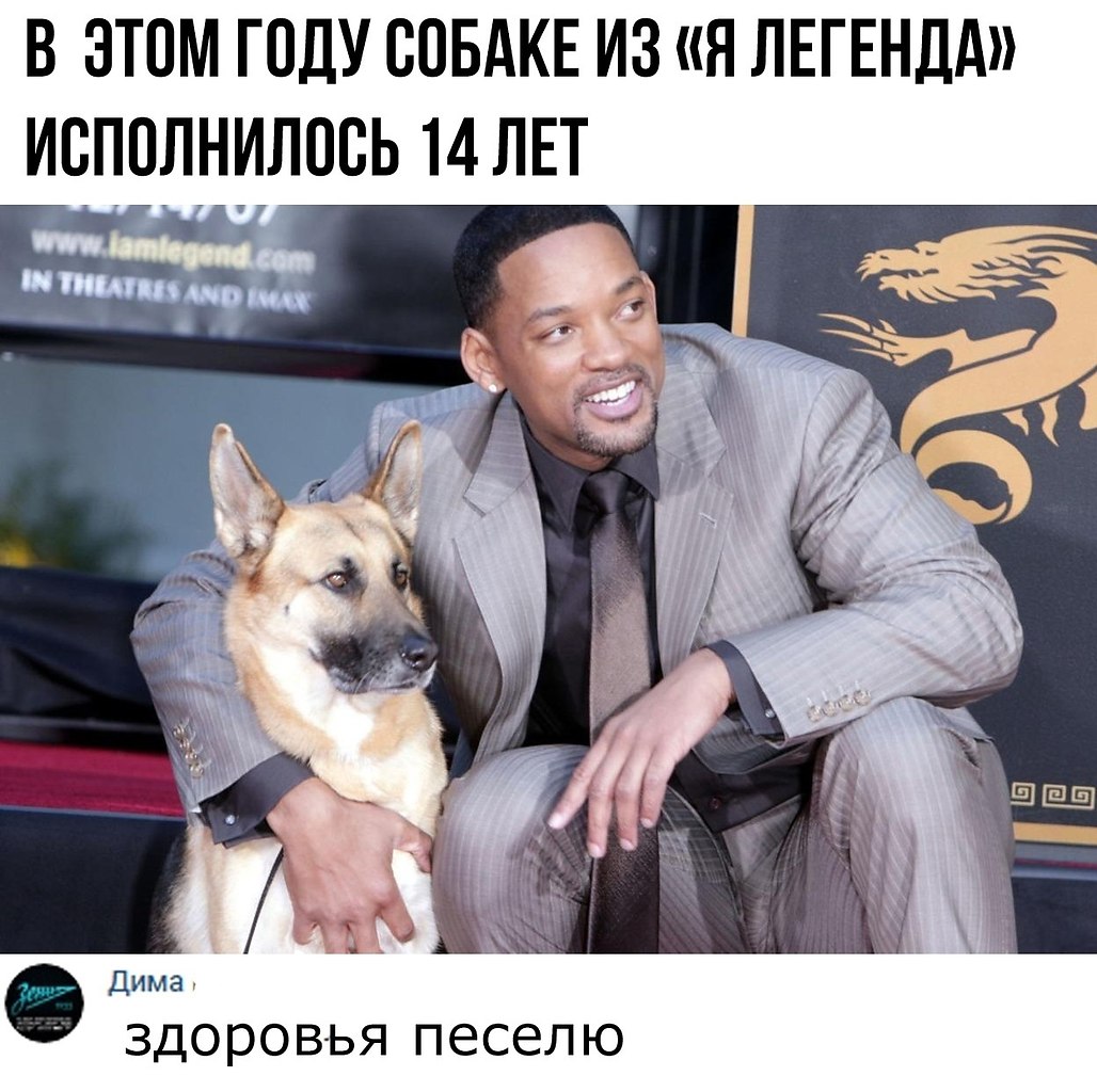  - 24  2019  03:33
