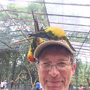 ���� ������, ��������, 54 ���� - ��������� 10 ������ 2019