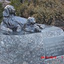 ���� Vadim, ����, 65 ��� - ��������� 31 ����� 2019 � ������ ���� ��� ����