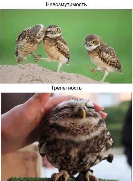  co o ec c aeca... o oce: - 7