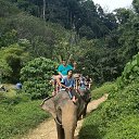 ���� �������, �����, 51 ��� - ��������� 15 ������� 2019 � ������ ���� ����������