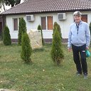 ���� ����, ������, 83 ���� - ��������� 2 ������ 2019 � ������ ���� ����������