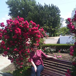 ��������, �����, 53 ����