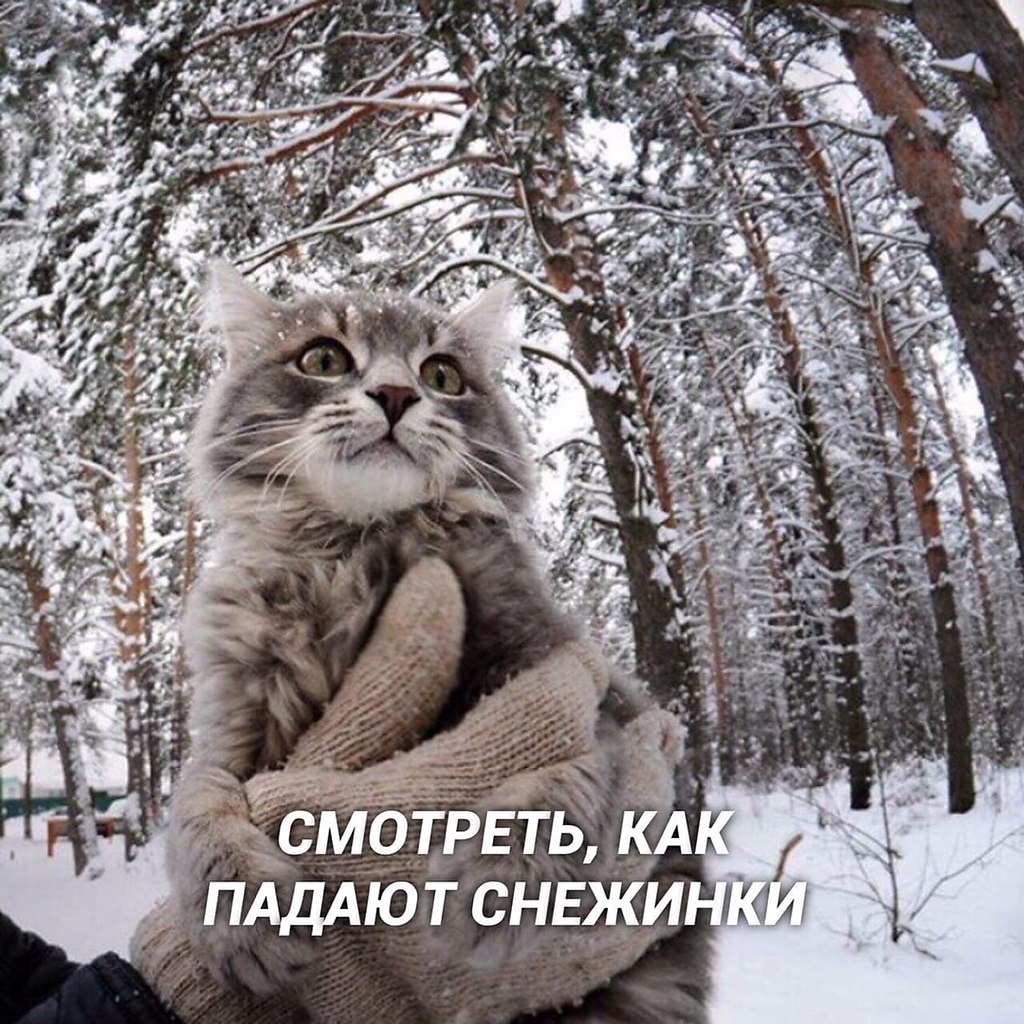  - o...