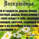 ���� ���������, ����������, 55 ��� - ��������� 20 ��� 2019 � ������ ������ ��������