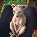 ���� �����, ������ �����, 73 ���� - ��������� 28 ������ 2019 � ������ ������ ��������
