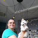 ���� ���������, ����, 37 ��� - ��������� 4 ���� 2019