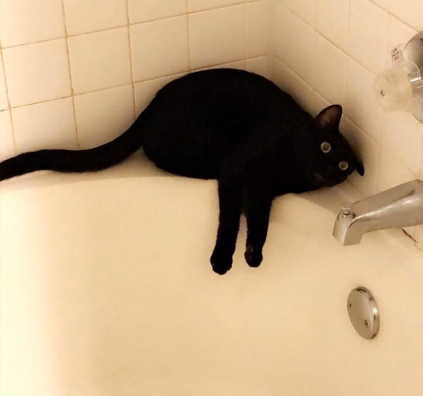  -   ? , :