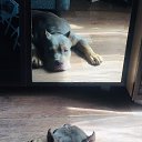 ��������� ������ ���� ��������� �� ������� ���� ����������