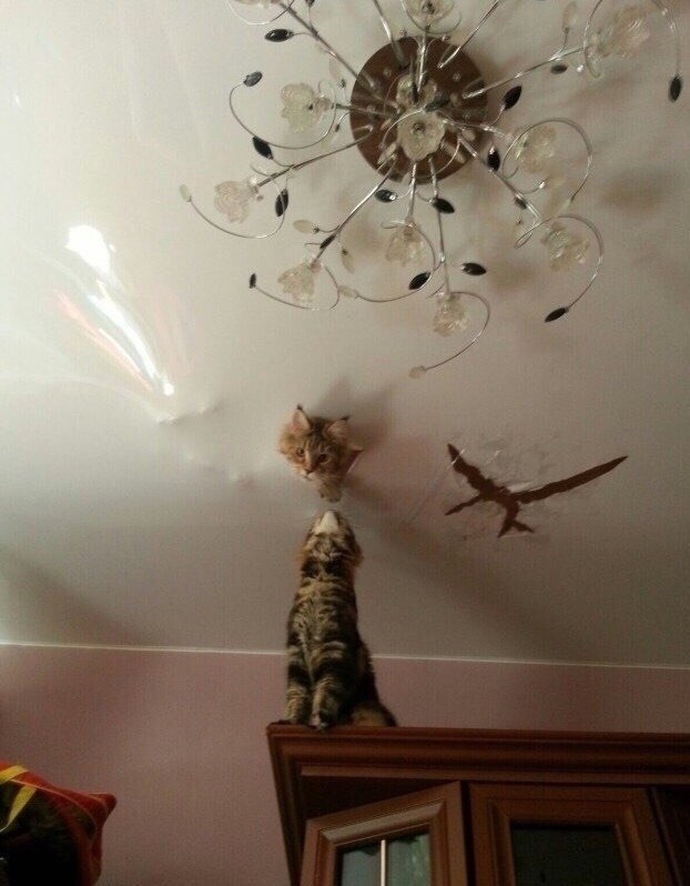  ,      ?)) - 2