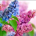 ���� ����, ����� - ��������� 26 ���� 2019 � ������ ���� ����������