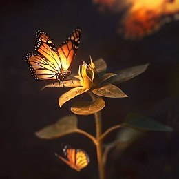     , , ,  .     ,    ... - 3