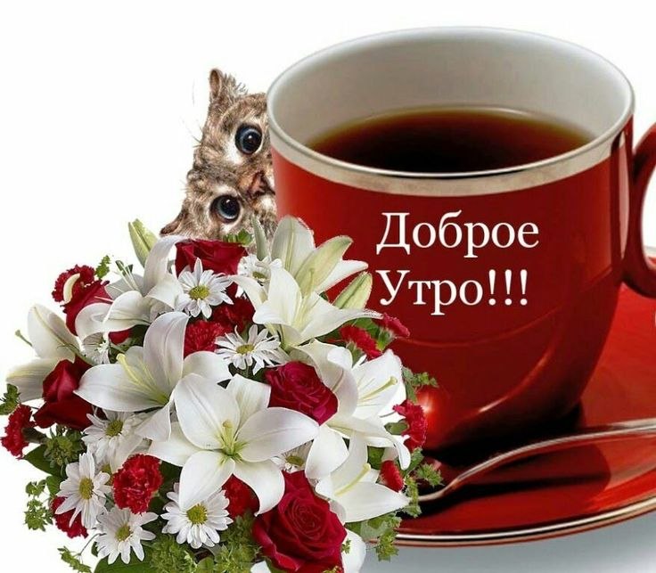 Доброго всем дня и приятных новых встреч!