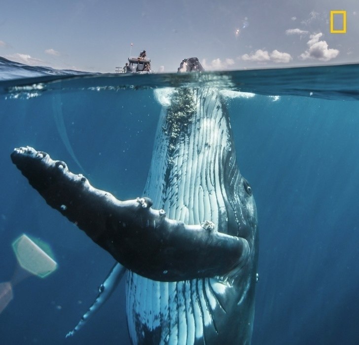 National Geographic   - 4
