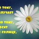 ���� ����� ����!, �����-��������� - ��������� 29 ��� 2019 � ������ ������ ��������