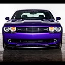 ���� ��������, �����������, 54 ���� - ��������� 11 ������ 2019 � ������ ���� ����������