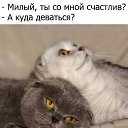 ���� ����, �����������, 62 ���� - ��������� 14 ������� 2019 � ������ ������ ��������