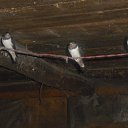 ���� ������, ������� - ��������� 13 ������� 2019 � ������ ���� ����������