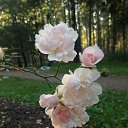 ���� �����, �����-��������� - ��������� 14 ������ 2019 � ������ ���� ����������