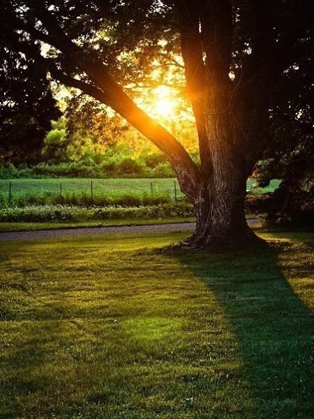 Доброе утро).Улыбнулась в озеро зеркальное, Покрутилась в танце не спеша.Кто сказал об Осени: ... - 2